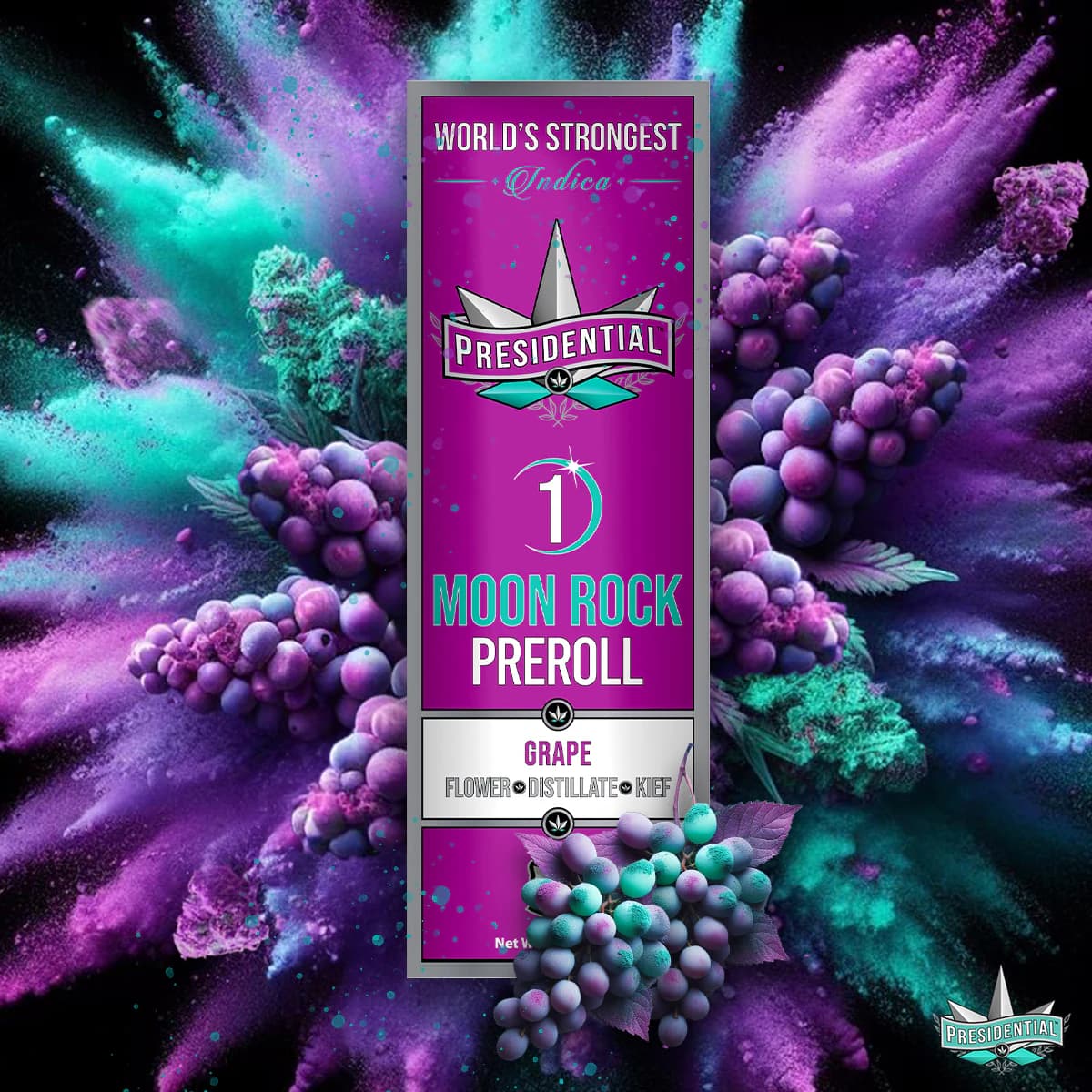 Presidential Grape 1g Moon Rock pre-roll product