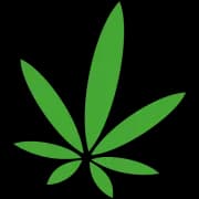 420 FLOWER FACTORY - licensed Presidential retailer in Costa Mesa, California