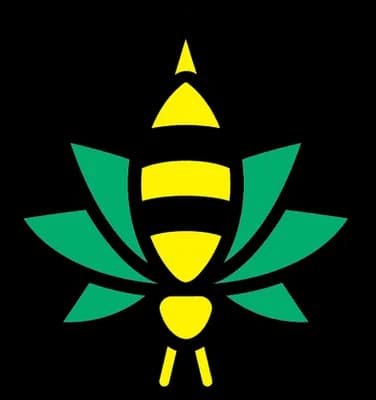 Buzz Cannabis - licensed Presidential retailer in La Mesa, National City, San Diego, Wildomar, California