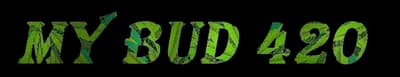 My Bud 420 - licensed Presidential retailer in Bronx, New York