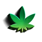 Sugarbudz SFV - licensed Presidential retailer in Pacoima, California